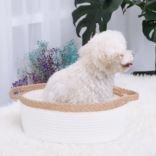 ABenkle Small Basket with Handles, Boho Decorative Rope Woven Dog Cat Toy Storage Bin Shelf Storage Organizer, Easter Christmas Gift Basket, 12"x8"x5" - Image 3