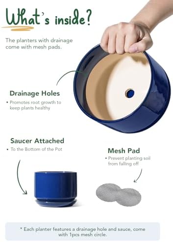 LE TAUCI Ceramic Plant Pots, 4.3+5.3+6.8 inch, Set of 3, Planters with Drainage Hole and Saucer, Indoor Flower Pot with Hole Mesh Pad, Gifts for Mom, Sapphire Blue - Image 5