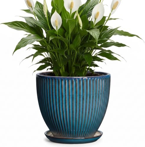 Ceramic Plant Pots, 8 Inch Planters for Indoor Plants, Decorative Flower Pots with Drainage Hole and Saucer, Round Planter, Indoor Flower Pot, Modern Home Decor, Plant Lover Gifts, Retro Blue by Unknown