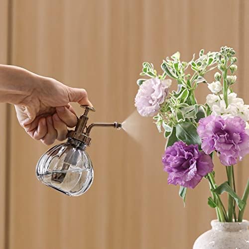 T4U Glass Plant Mister 200ML, Vintage Spray Bottle with Top Pump Fine Mist Flower Garden Sprayer Small Decorative Spritzer Watering Can Gift for Indoor Outdoor Succulent House Plant (Clear) - Image 7