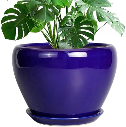 Ceramicfor Ceramic Planter 10 Inch, Indoor Plant Pot for Plants, Royal Blue by Ceramicfor
