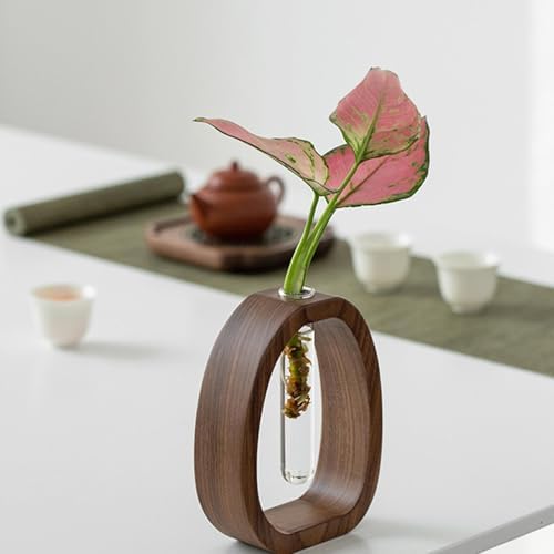Propagation Vases Arrangements, Wood Stand, Glass Test Tubes, Decor - Image 4