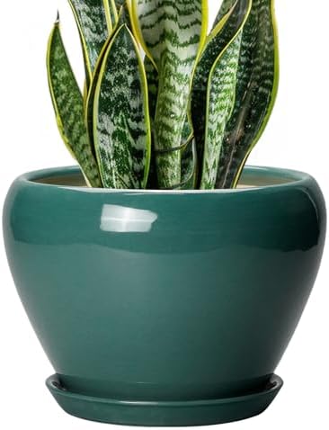 Ceramicfor 8 Inch Plant Pot - Ceramic Planter for Indoor Plants, Green by Ceramicfor