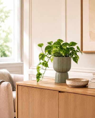 Self Watering Pots for Indoor Plants, 6 Inch Ceramic African Violet Pot - Image 5