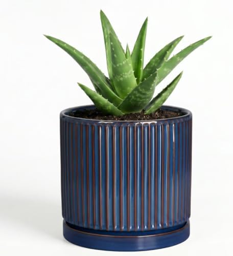 4 Inch Pots for Plants, Ceramic Plant Pots with Saucer, Retro Blue by Unknown