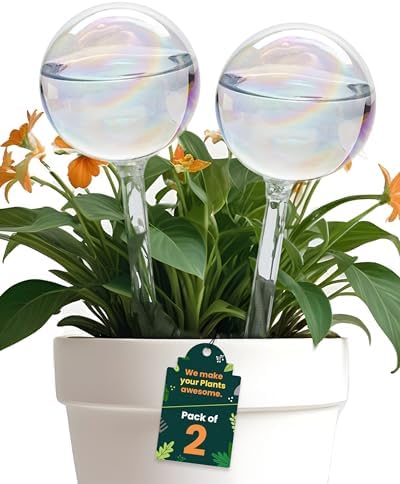 Iridescent Self Watering Globes, Glass Rainbow Plant Watering Globes, Self Watering Planter Insert, Automatic Plant Waterer Indoor (Large-2 Pcs Iridescent, Large) by Plankkers