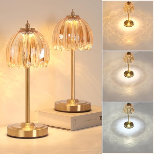 Shenmoyl Set of 2 Tulip Table Lamp with 5000mAh Battery & Touch Control, Cordless Table Lamp with 3 Colors, Dimmable Rechargeable Table Lamps for Bedroom, Living Room, Entryways (Amber Tulip) by Shenmoyl