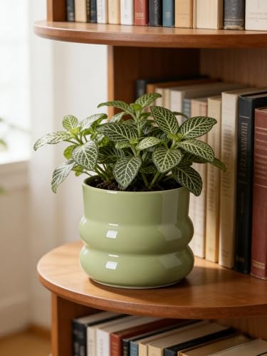 Ceramic Plant Pot,6 Inch Planters for Indoor Plants,Ceramic Planter Flower Pots with Drainage Hole,Home Office Garden Décor,(Green,Inner-pots not Larger Than 5 Inch) - Image 4