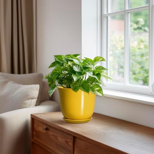 Ceramic Plant Pots - 5.6 Inch Planter with Drainage Hole and Saucer, Round Small Plant Pot for Indoor Outdoor, Modern Flower Succulent Orchid Pot, Desk Decor, Plant Lover Gifts, Yellow - Image 5