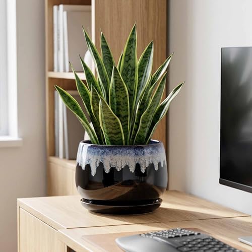 Ceramic Plant Pots - 9 Inch Flower Pots for Indoor Plants, Decorative Pots for Plants with Drainage and Saucer, Large Planter, House Office Decor, Gardening Gifts for Women, Black-Blue - Image 7