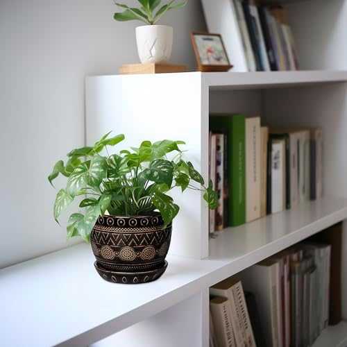 G EPGardening 5.5 Inch Ceramic Planter - Ceramic Plant Pot for Indoor Outdoor Plants, Boho Round Flower Pot with Drainage Hole and Saucer, Gifts for Plant Lovers, Office Garden Home Decor, Black - Image 5
