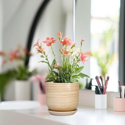 Ceramic Plant Pot 5 Inch - Modern Round Succulent Planter for Indoor Plants with Drainage Hole and Saucer, Office Home Room House Decor, Yellow - Image 6