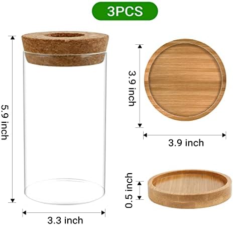 Plant Propagation Stations 3 Pack Plant Terrarium, Propagation Jars Glass Hydroponic Vases for Indoor Plants, Desktop Glass Plant Pot with Lid & Wooden Stand Gardening Gifts for Women Mom Plant Lovers - Image 5
