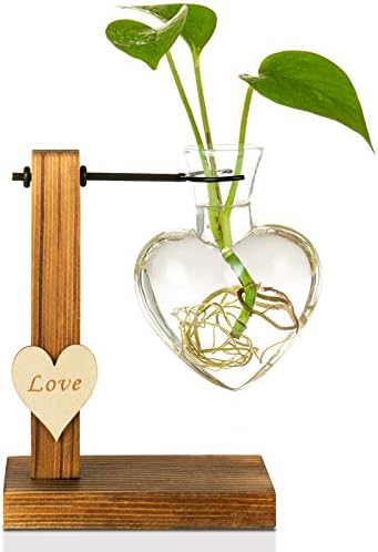 Kingbuy Hydroponic Glass Vase Vintage Desktop Plant Terrarium Planter Bulb Vase Water Planting Propagation Vase Planters Hydroponics Plants with Retro Wooden Stand Home Garden. (D(1 Heart Vase)) by Kingbuy
