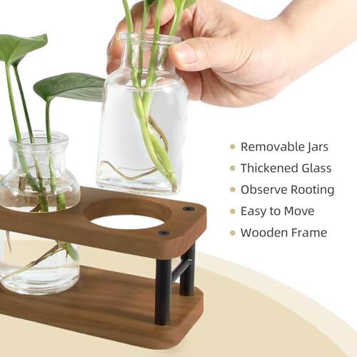 THYGIFTREE Plant Propagation Station with Wooden Stand, Propagation Vases Glass Planters for Indoor Plants Hydroponic Propagating Jars Home Office Decor, Brown - Image 3