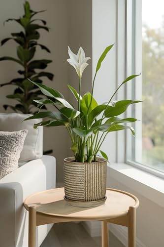 Oairse Ceramic Pots for Indoor Plants, 6.1 +4.9 inch Pots for Plants Set of 2 Brown Plant Pots with Drainage Holes and Saucers Texture Ceramic Planters Indoor Outdoor Flower Pot for Succulent - Image 6