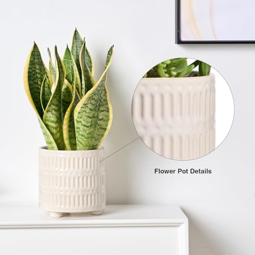 STHIE 5 Inch Ceramic Planters for Indoor Plants, White Snake Plant Pots - Image 4