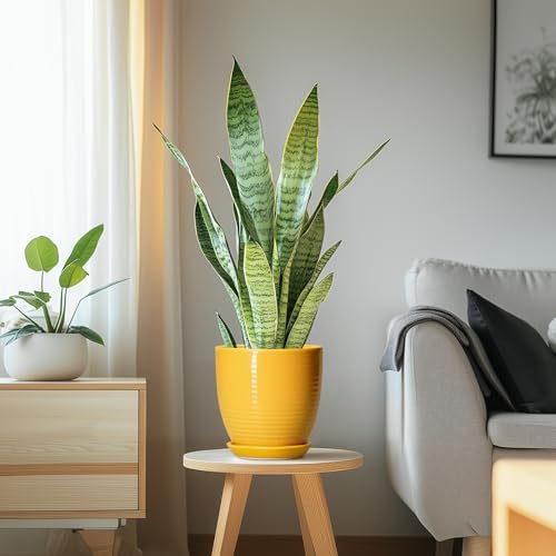 Ceramic Pots for Plants - 6 Inch Plant Pot for Indoor Plants, Ceramic Planter with Drainage Hole and Saucer, Round Decorative Flower Pots, Desk Home Decor, Plant Lover Gifts, Glossy-Yellow - Image 6