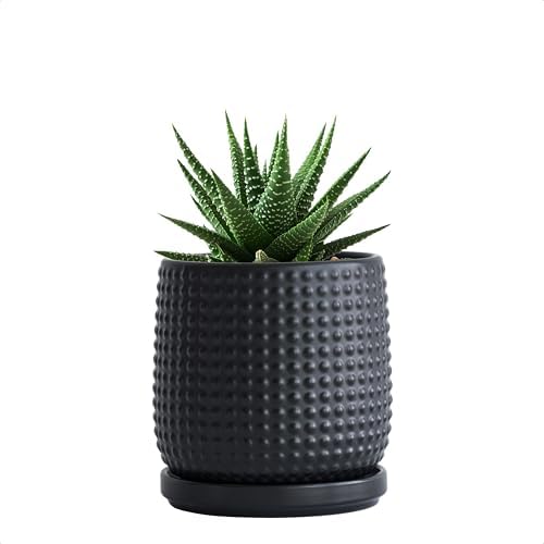 D'vine Dev Beaded Ceramic Pot with Saucer, 4 in, Ebony Matte, 27-C-Z-6 by DvineDevPlanterPotsandStand