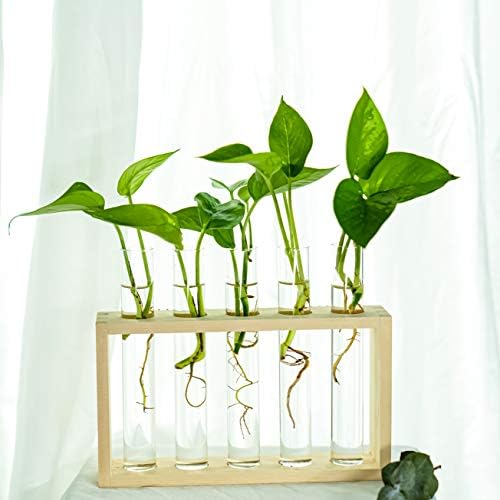 Wooden Propagation Station with 5 Glass Test Tubes, Tabletop Glass Terrarium Holder for Plant Cuttings Hydroponics, Home Office Desk Decor Gift for Women Mom Plant Lovers, Beige - Image 4