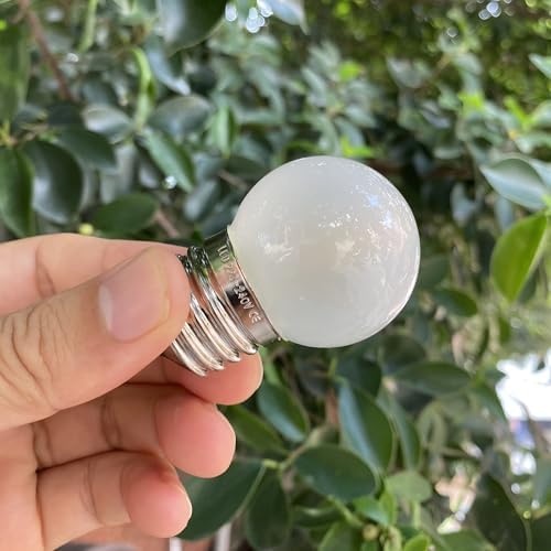 G40 1.5w Dim Led Bulb Equal 15 Watt Light Bulbs Bright White 6000k - Image 7