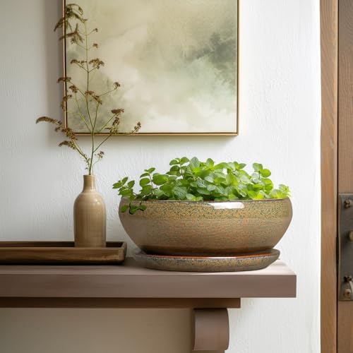SQOWL Bonsai Planter, 10 Inch Ceramic Succulent Pots with Saucer, Brown - Image 6