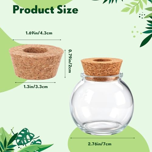 12 Pack Glass Plant Propagation Stations, Spherical - Image 2