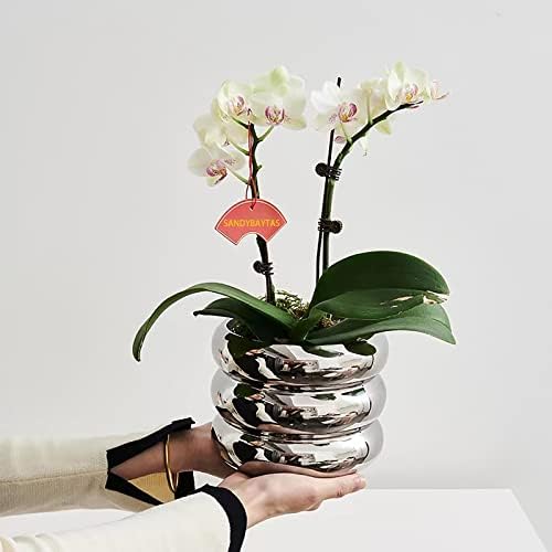 Ceramic Plant Pot Indoor, 4.5 Inch Flower Pot with Drainage Hole, Small Bubble Design Ceramic Planter for Home & Office Decor (Silver) - Image 2