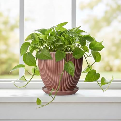 Ceramic Pots for Plants 6 Inch, Ceramic Plant Pots Indoor with Drainage Hole and Saucer, Modern Flower Pot, Round Decorative Planter, Living Room Home Decor, House Warming Gifts, Rust Red - Image 5