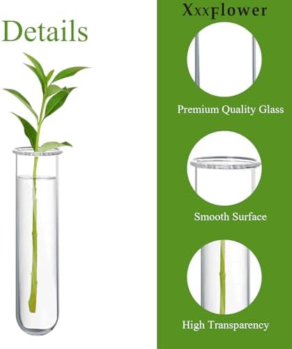 XXXFLOWER Glass Propagation Stations Accessories 4 Tube Vases - Image 4