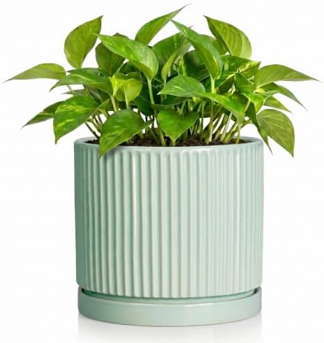 Ceramic Flower Pots, 6 Inch Plant Pot, Round Planter, Mint Green by Unknown