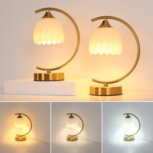 Shenmoyl Set of 2 Tulip Table Lamp, 5200mAh Cordless Touch Control Table Lamps with 3 Color Temps & Stepless Dimming, Rechargeable Battery Table Lamp for Living Room, Bedroom, Shelf (White Tulip) by Shenmoyl