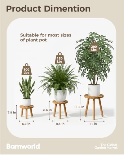 Bamworld 3 Pack Plant Stand Indoor Single Plant Stand for Multiple Plants Corner Plant Stool Wooden Plant Stands for Patio Garden Balcony Living Room Bedroom(Nature) - Image 3