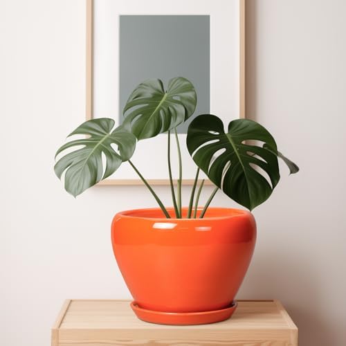 Ceramicfor Ceramic Pot for Plants - 10 Inch Plant Pot with Drainage Hole and Saucer, Modern Round Glaze Planter for Indoor Outdoor Plants, Plant Lover Gifts, Home Garden Office Decor, Orange - Image 7