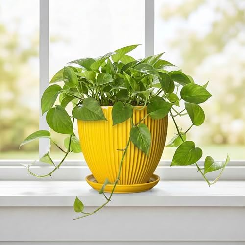 6 Inch Plant Pot, Ceramic Planter with Drainage Hole and Saucer, Decorative Small Plant Pots for Indoor Plants, Modern Round Flower Pot, Home Office Room Decor, House Warming Gifts, Yellow - Image 5