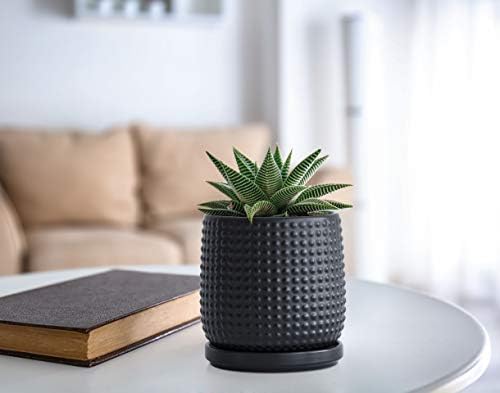 D'vine Dev Beaded Ceramic Pot with Saucer, 4 in, Ebony Matte, 27-C-Z-6 - Image 5