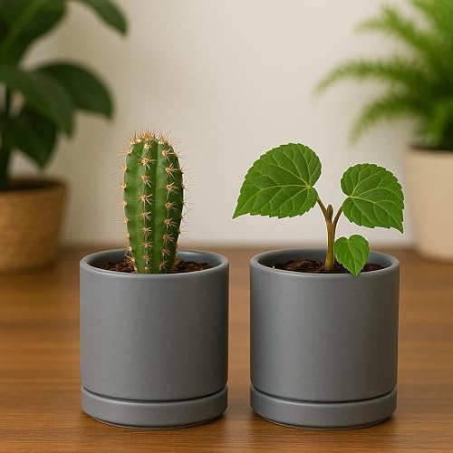 D'vine Dev 2-Pack Ceramic Pots with Saucers, Grey, 3.5 in, 94-V-A-3 - Image 3
