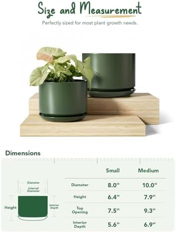 LE TAUCI Ceramic Plant Pots, Set of 2, 8+10 Inch Plant Pots Indoor with Drainage Hole & Saucer, Sturdy Planters for Indoor Plants, Modern Minimalist Decor for Snake Plant, Monstera, Forest Green - Image 5