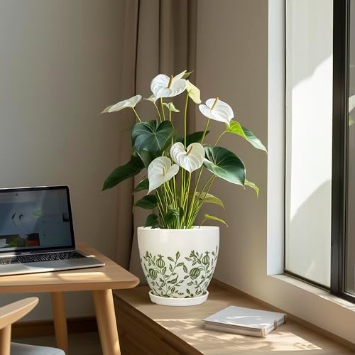 MPotTo Ceramic Planter - 8.2 Inch Plant Pot for Indoor Outdoor Plants, Boho Round Ceramic Flower Pot with Drainage Hole and Saucer, Gifts for Plant Lovers, Home Garden Apartment Decor, White - Image 5