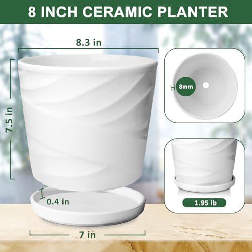 8 Inch Ceramic Plant Pot, White - Image 3