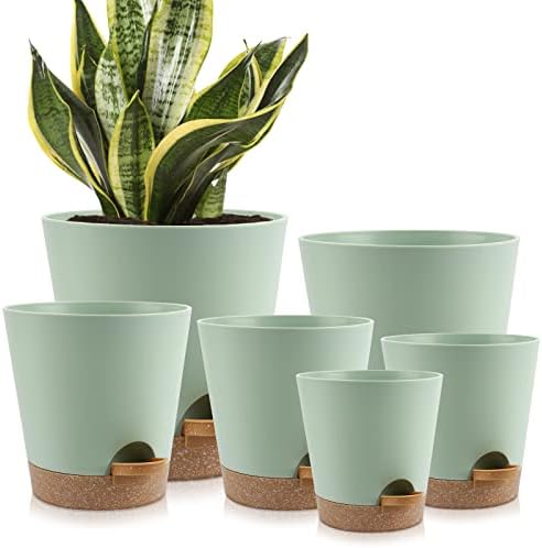 YNNICO Indoor Self Watering Planters with Drainage Holes and Saucers, 8, 7, 6.5, 6, 5.5, 5 Inches, Green, 6 Pots. by AFamilyofGardenLovers