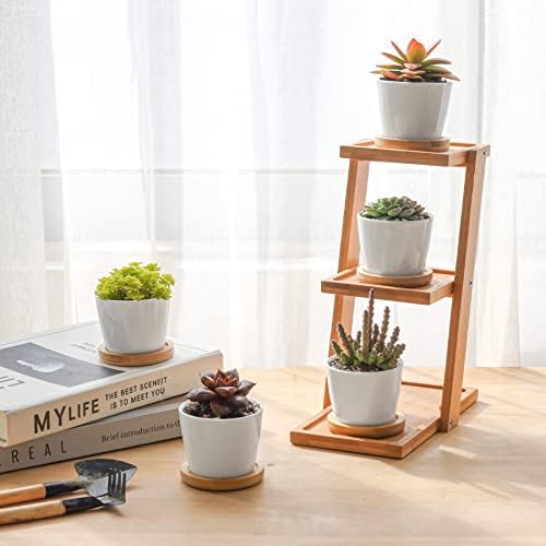 T4U Small Succulent Pots 12 Pack, Mini Flower Planters with Drainage White - Image 6