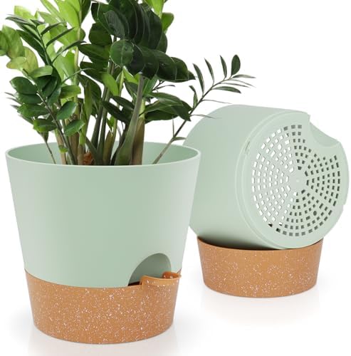 YNNICO 10-Inch Plant Pots, Self-Watering Planters with Drainage Holes & Saucers for Indoor and Outdoor Plants (2-Pack, Green) by AFamilyofGardenLovers