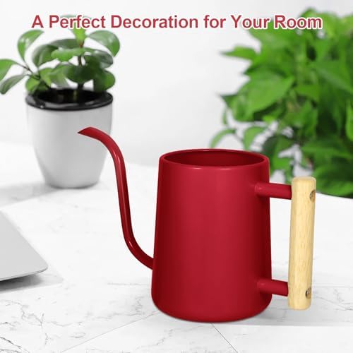 Watering Can Indoor Plants, 35 oz/1000 ml Metal Stainless Steel Watering Can Pot with Long Spout for Indoor House Plants Bonsai Outdoor Garden Flower Decorative (Red) - Image 7