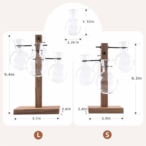Plant Propagation Station with Acacia Wood Stand and 4 Glass Vases - Image 2
