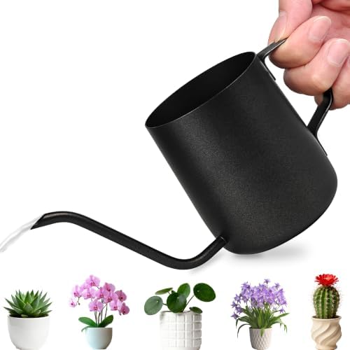 Small Metal Watering Can for Indoor Plants - 12oz Long Spout Pot for Succulents, Orchids & Seedlings - Stainless Steel with Teflon Coating (350ml/12oz) by Unknown