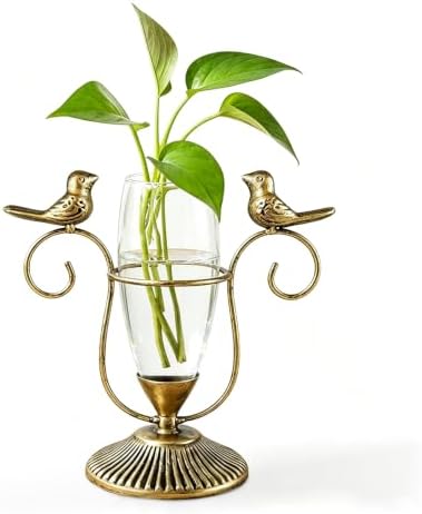 Desktop Hydroponic Glass Propagation Vases for Plants, 8.26"×7.9" by POXOHO