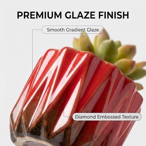 Succulent Plant Pots Ceramic Plant Pots and Drainage Hole Bonsai Planter Small Flower Pots for Indoor Outdoor Use for Home Office Garden Decoration,Plants Not Included (Red B) - Image 4