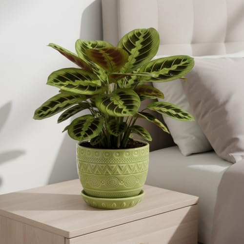 G EPGardening Ceramic Plant Pot, 5.5 Inch, Green - Image 6