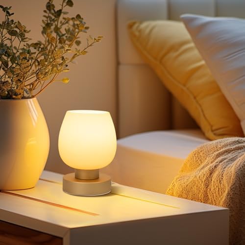 Touch Bedside Table Lamp - Desert Titanium Color Glass Lamp Shade, Warm LED Bulb, 3 Way Dimmable, Simple Design - Image 5